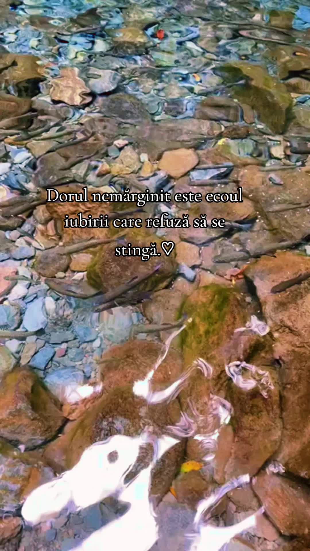 @♡ Gânduri care rămân ♡