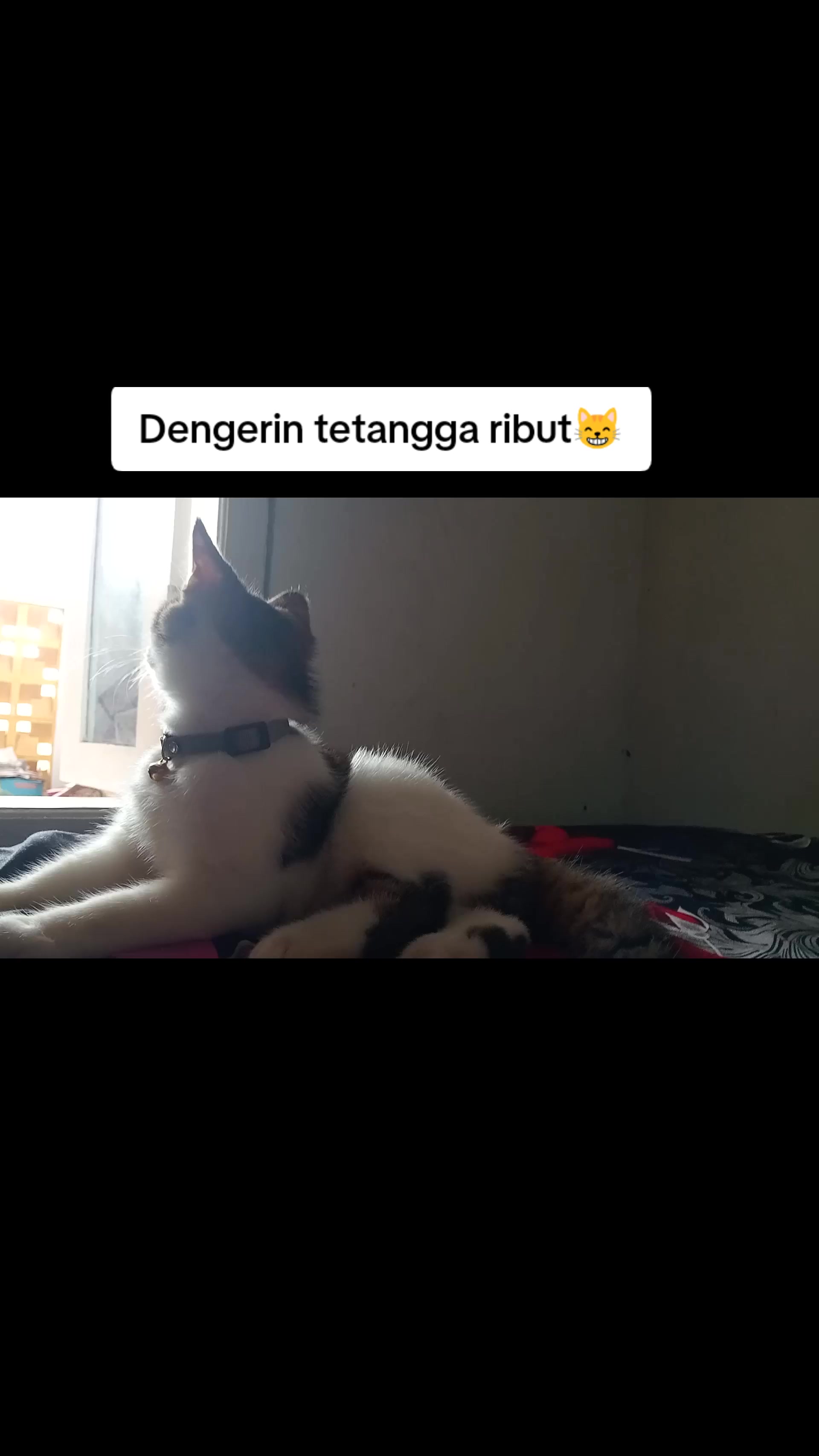@Rizqi