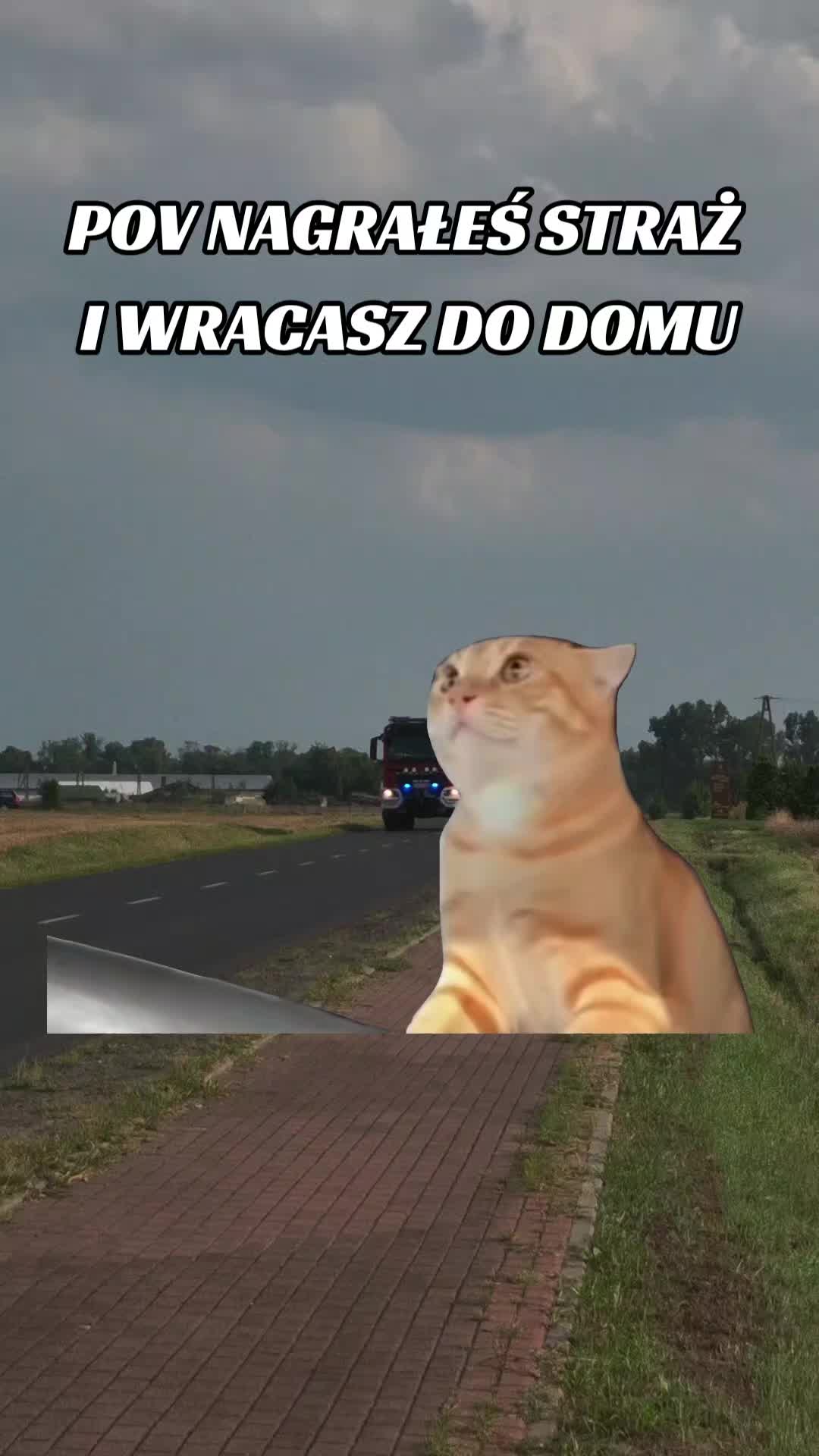 @marczykowski