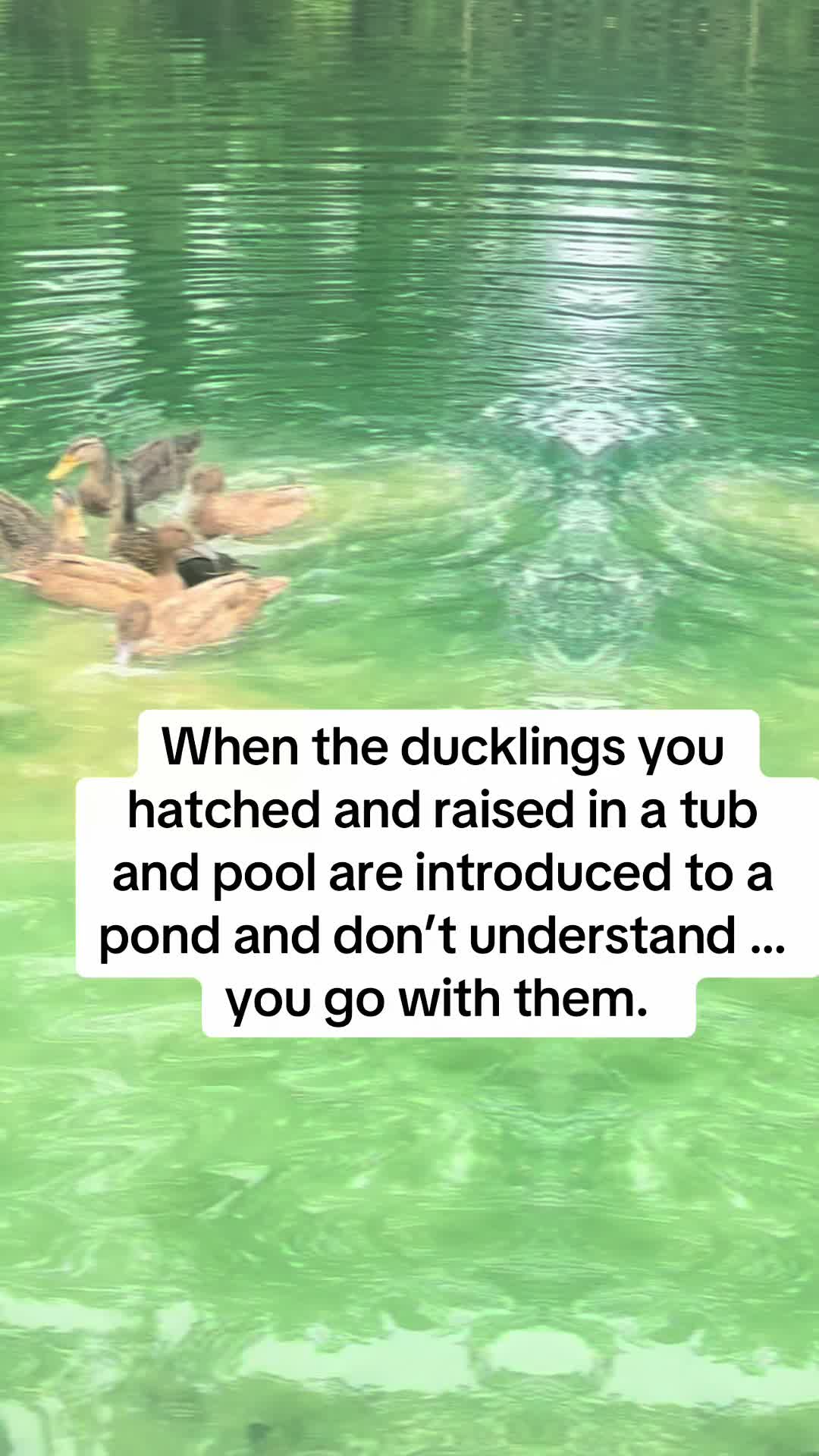 @AddictChick