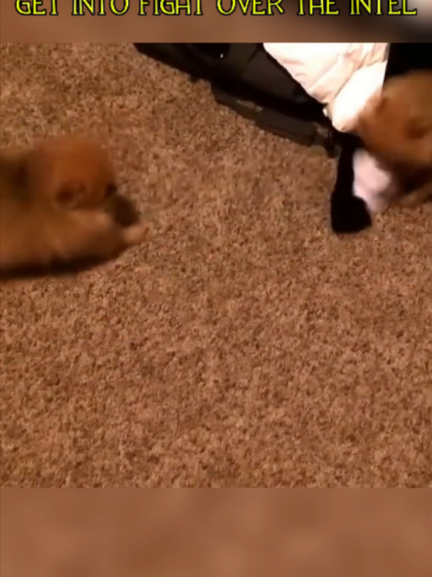 @Stinkster