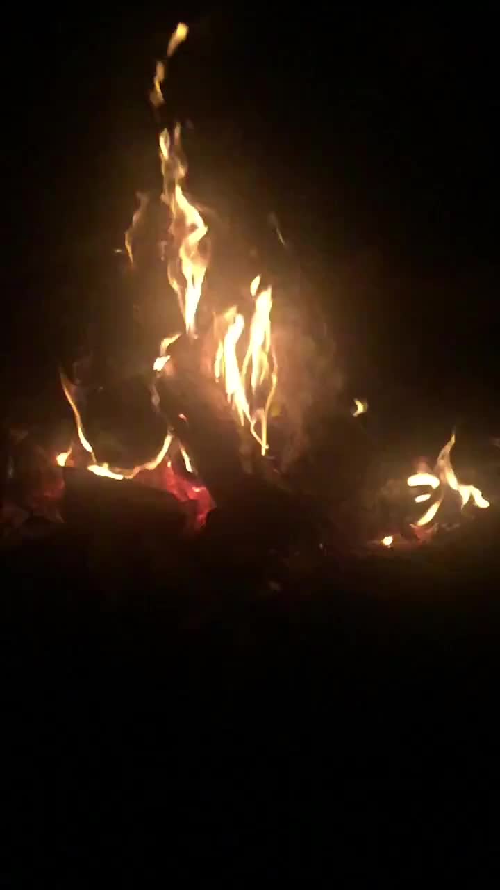 @thingsisee_withsounds