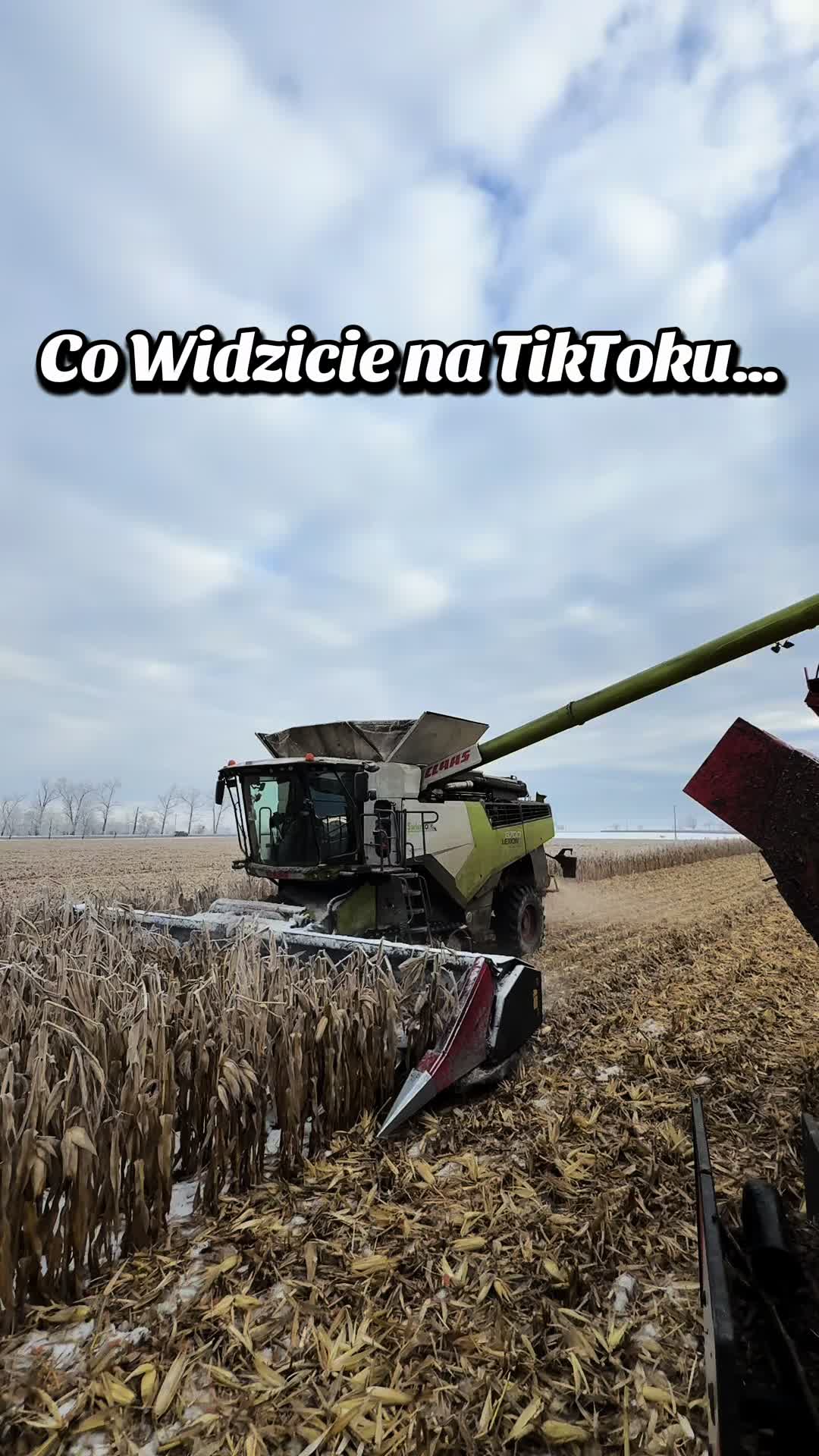 @Agro Tobiasz