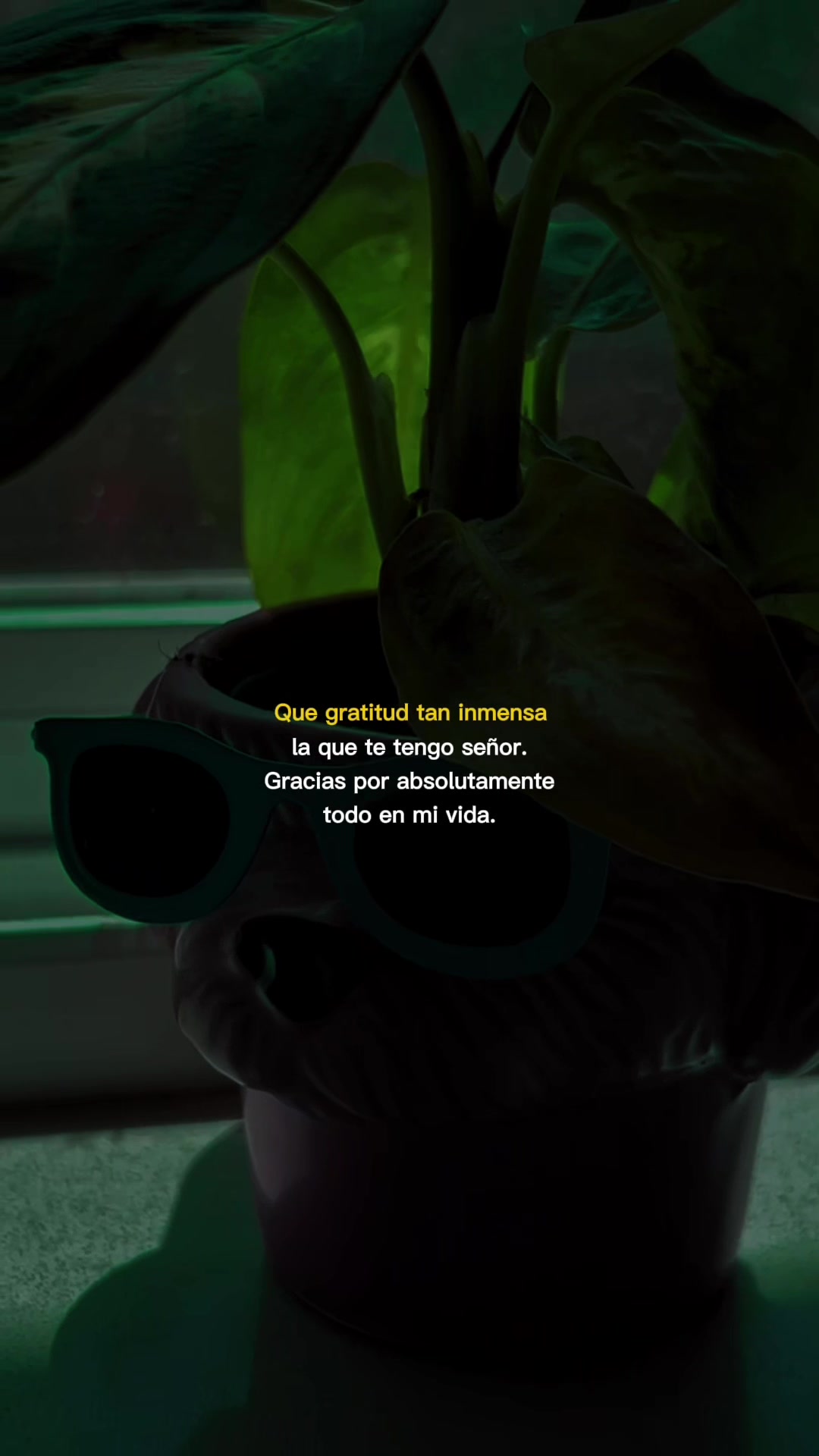@у&alpha;яєт&part; &alpha;ℓ&cent;&alpha;&eta;т&alpha;я&alpha;
