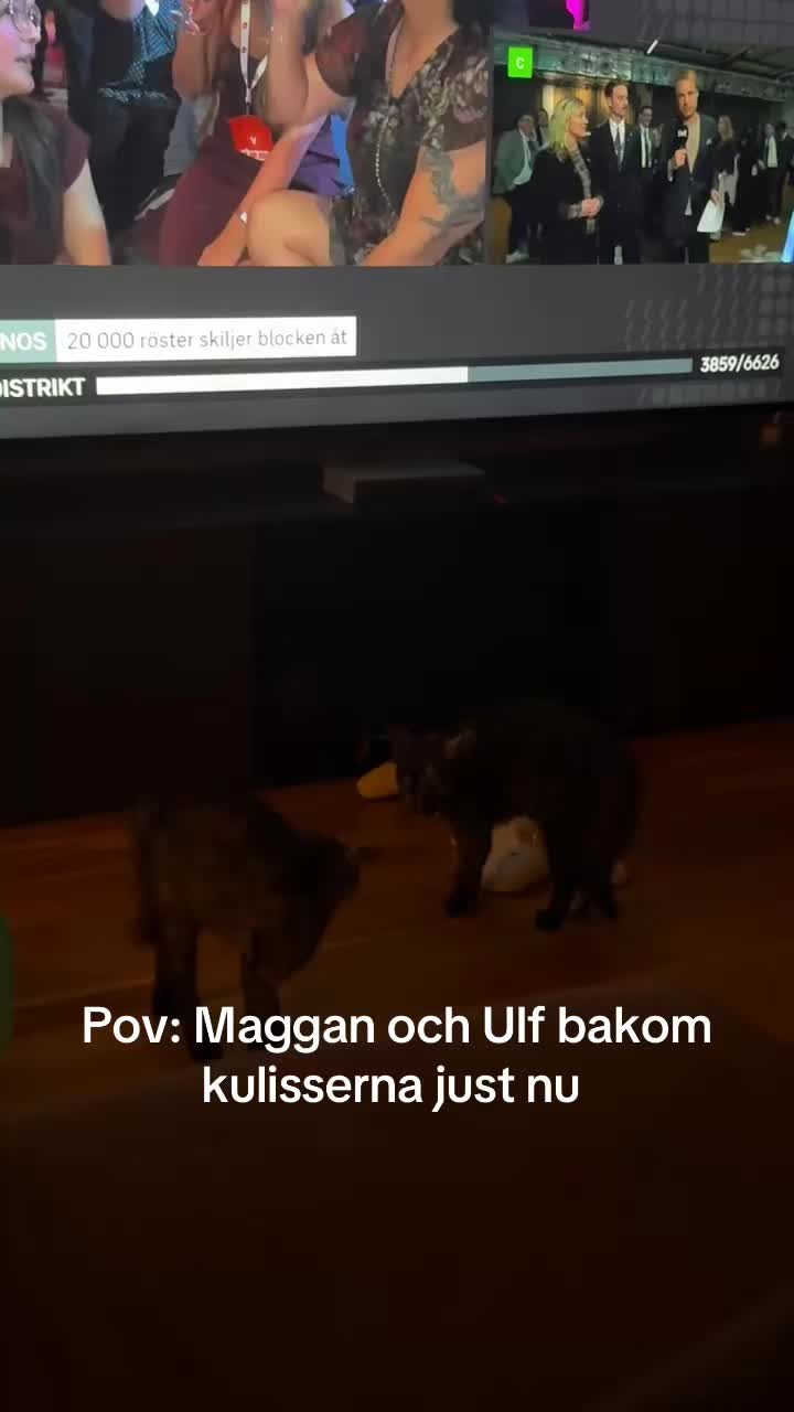 @linneaaa.laaagerberg