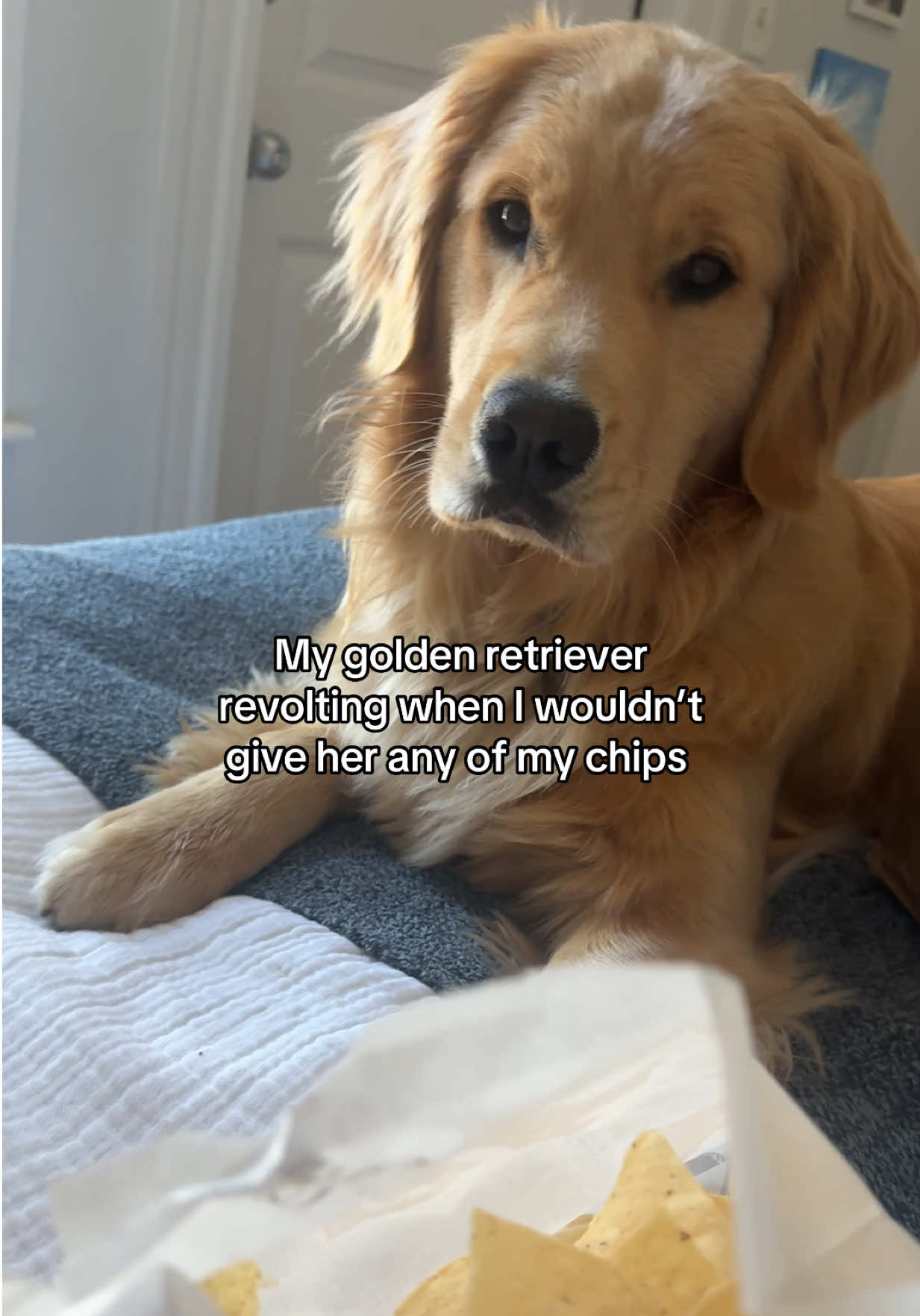 @Winter the Golden