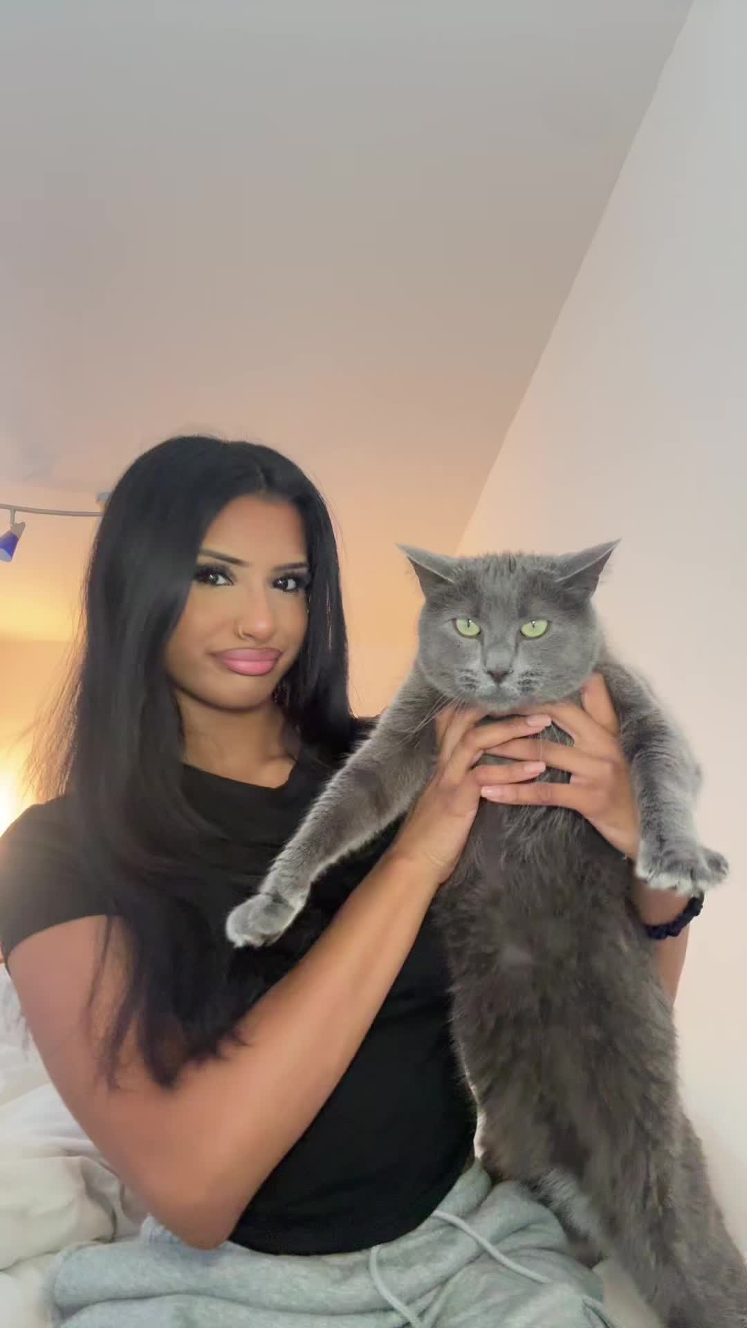 @𝒯𝒶𝒽𝒾