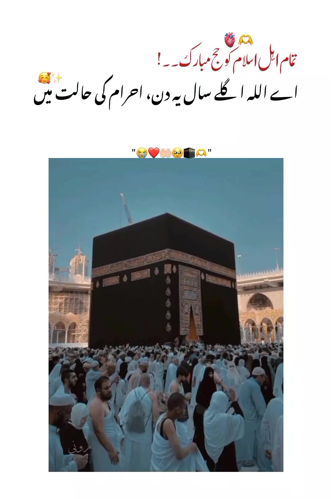 @*&bull;.&cedil;♡زونی✨🌙💗♡&cedil;.&bull;*