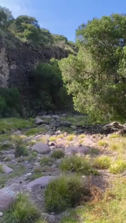 @IsidroEscobar