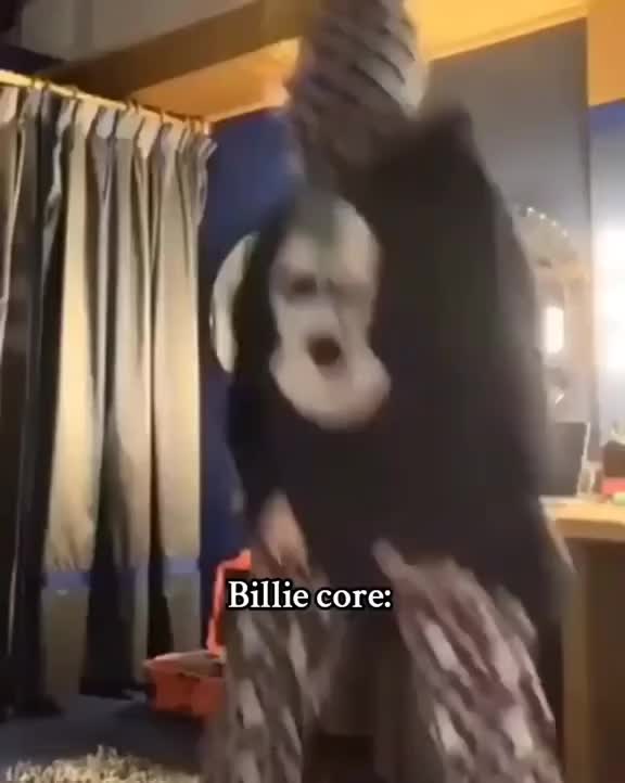 @billieeillishloverr