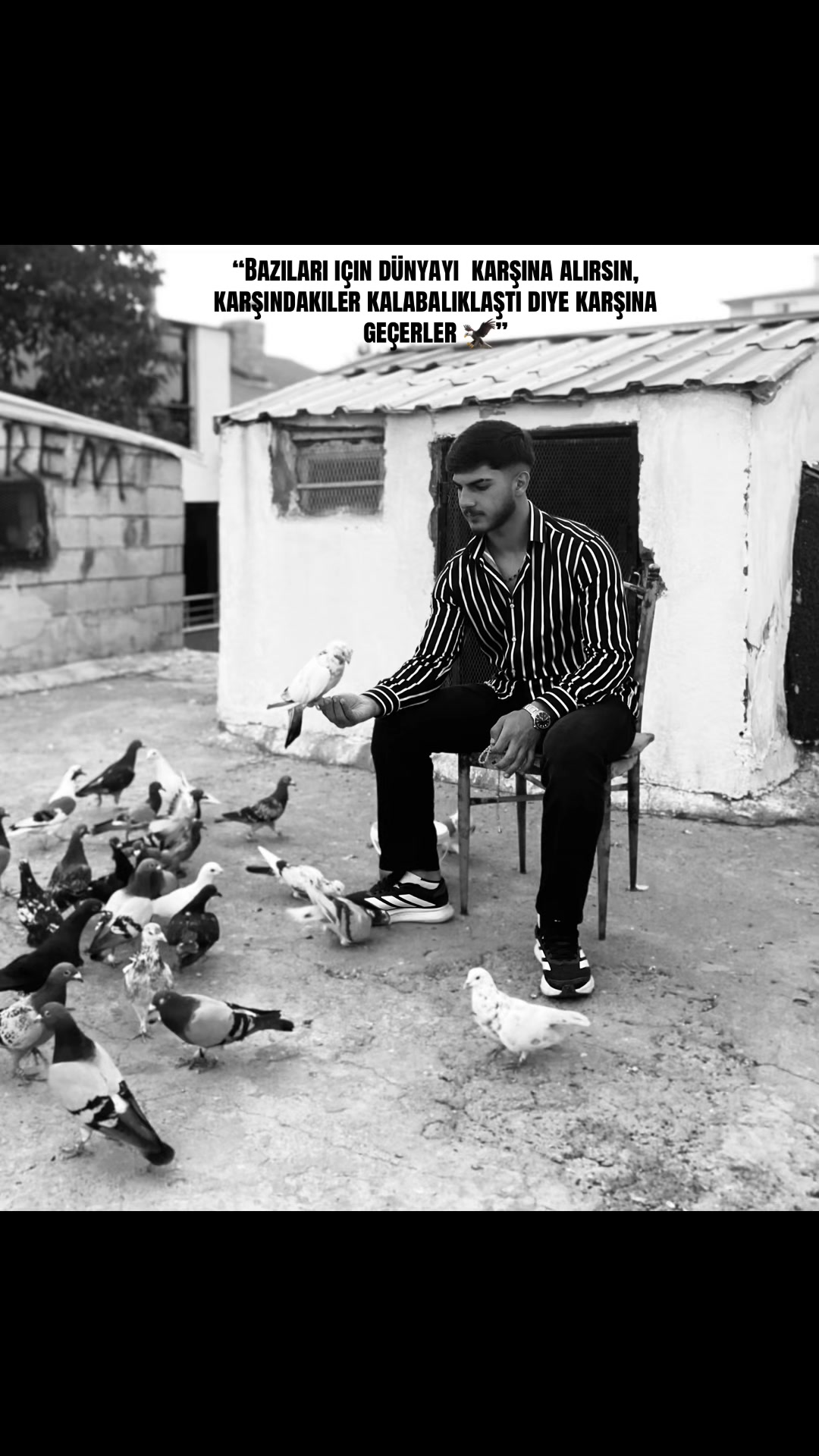 @"Maşallah Avcı 🦅"