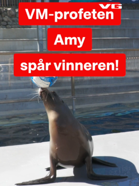 @VG Sporten