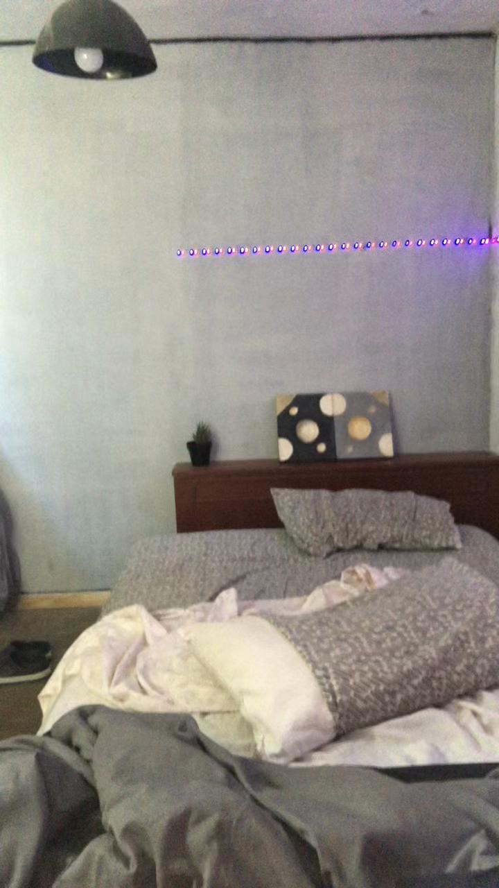 @delfina.marzano
