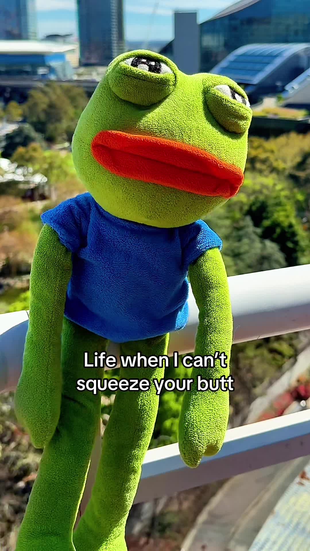 @AdoptAPepe