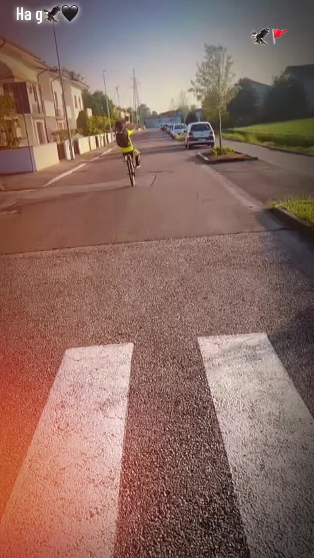 @𝕭𝖊𝖓𝖎𝖎⚜️