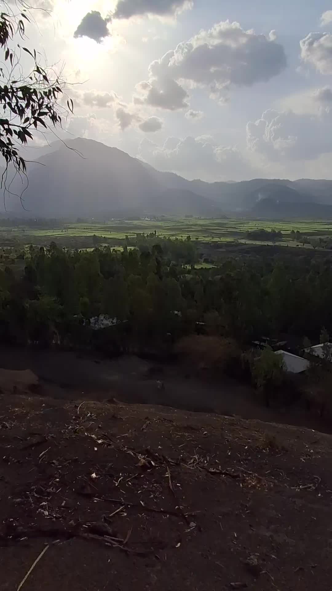 @ሰኢድ ሀበሽ