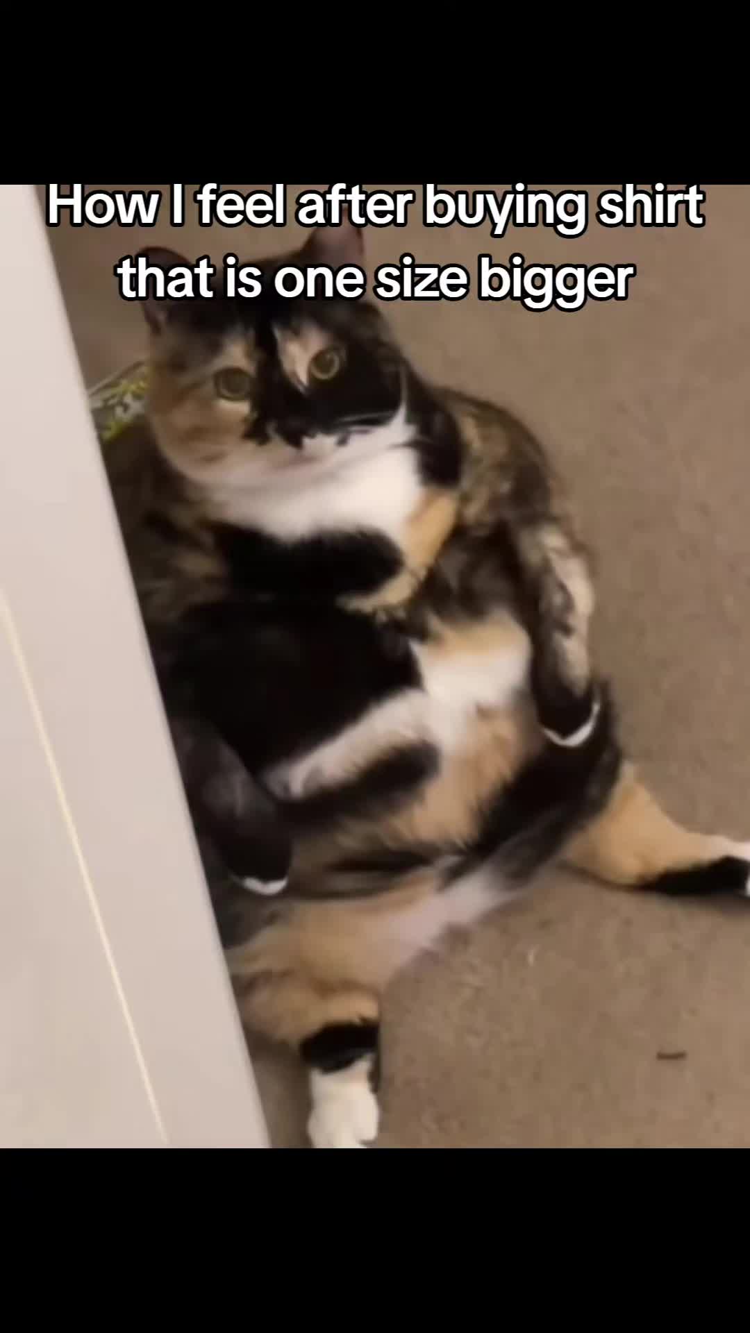 @๐๐๐๐ ๐๐๐๐๐๐๐๐
