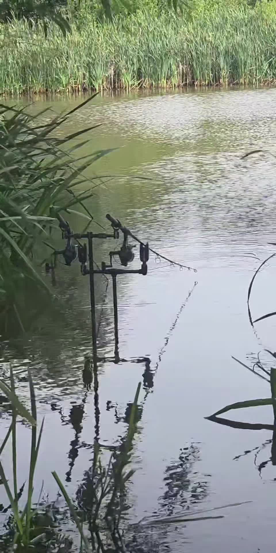 @🎣 Lee Preston 🎣
