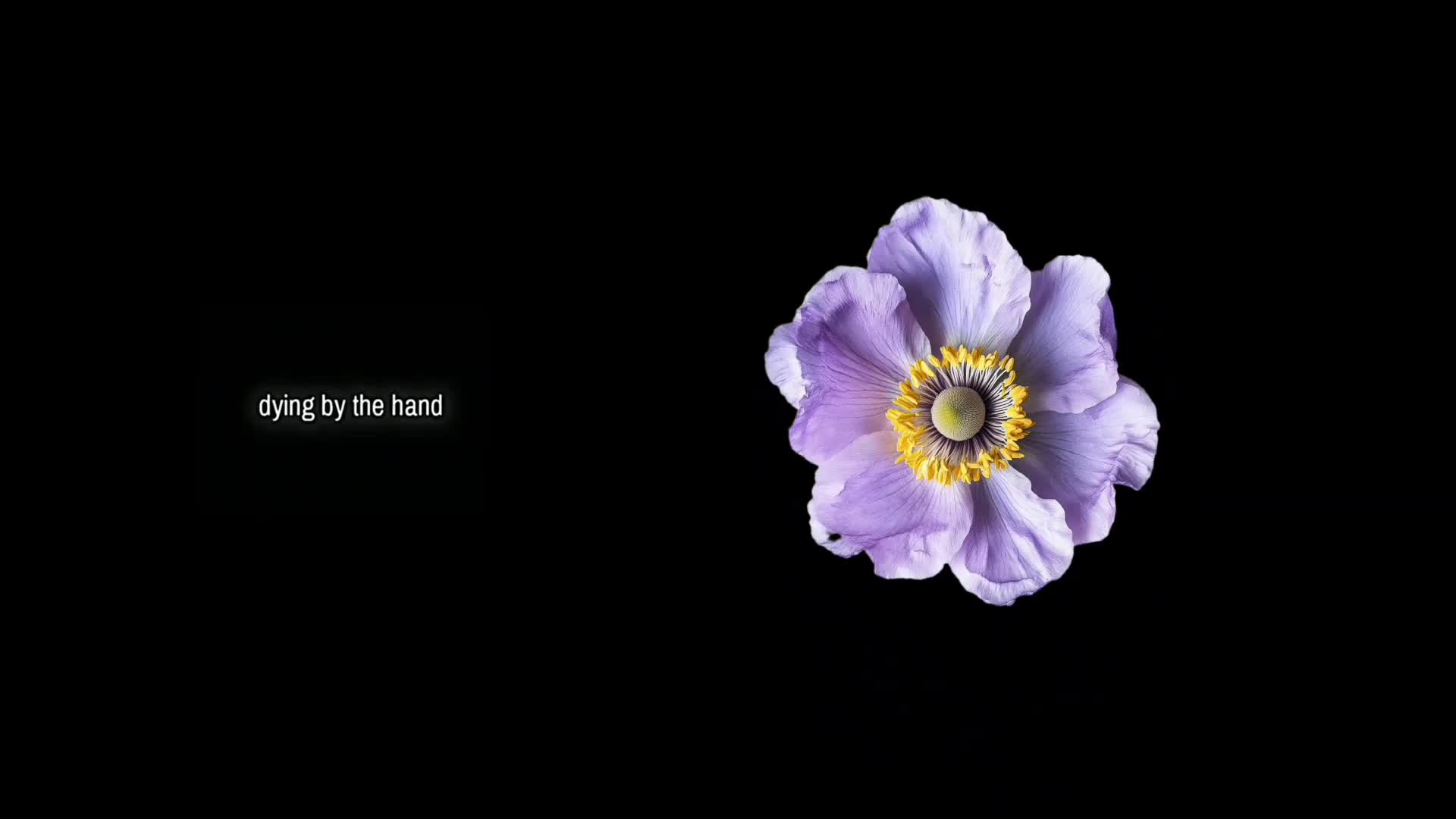 @Khey lyrics