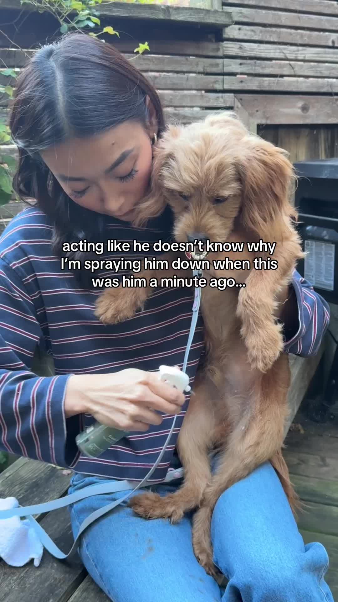 @Carolyn Chen