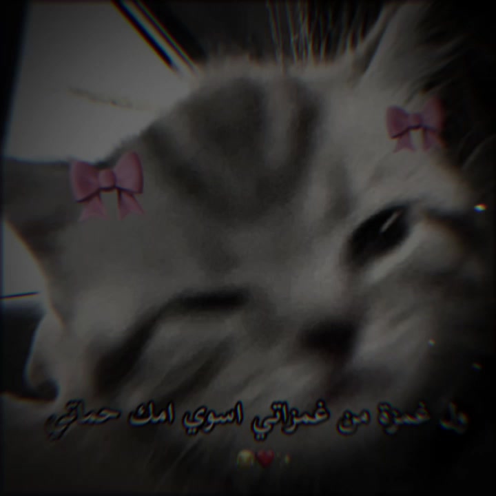 @الہَِ حمووشة|🖤؟.
