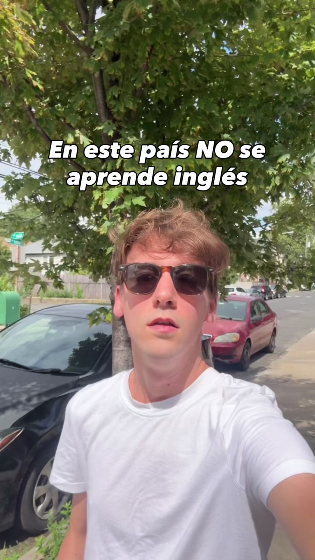 @Gonzalo Sans