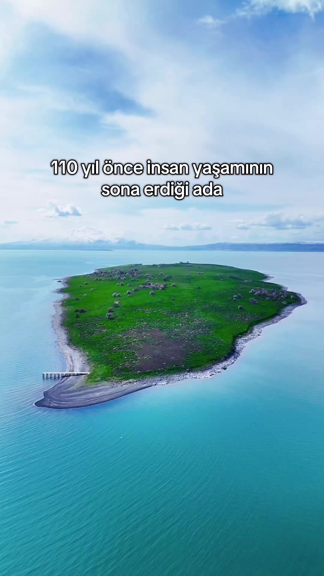 @Muzaffer Salcıoğlu