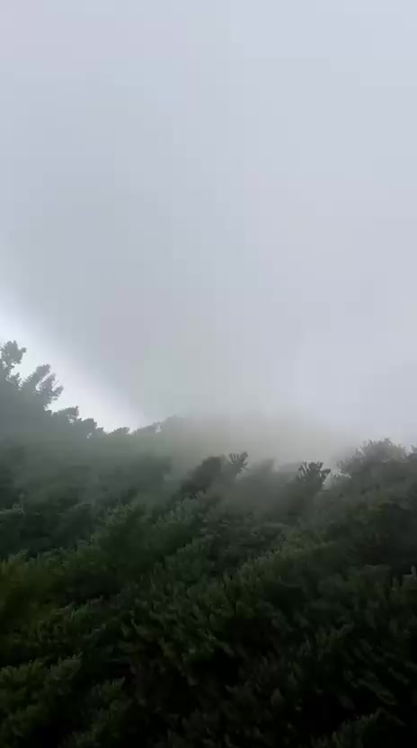 @Asim🇵🇰