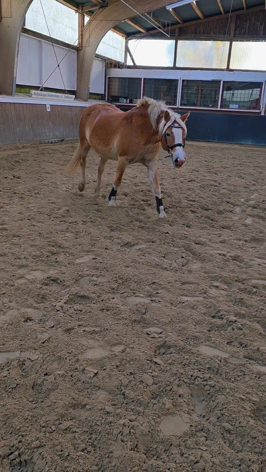 @Powerpony Alissa 💥🐴