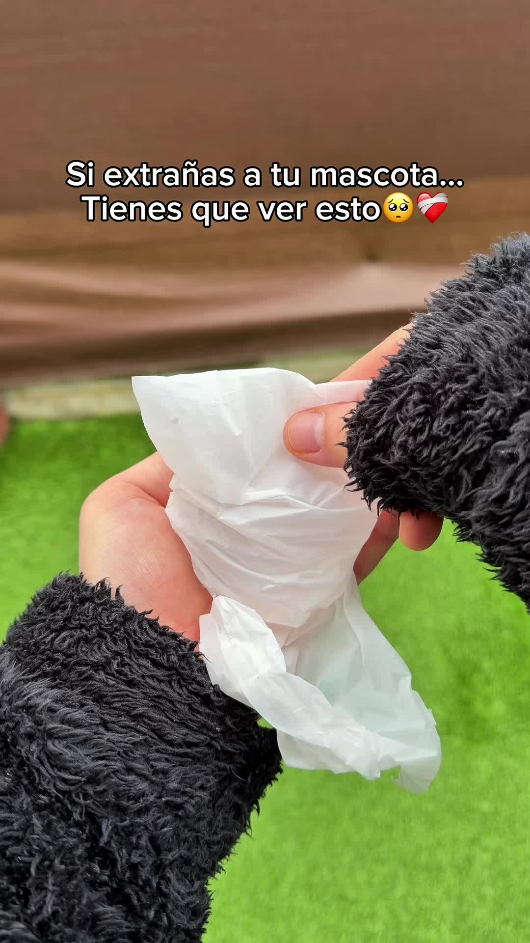 @🔮ENLACE EN LA BI0🔮