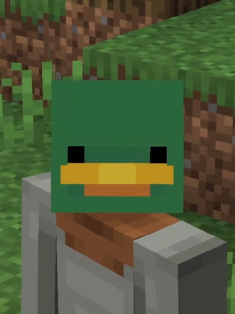 @Flay_w