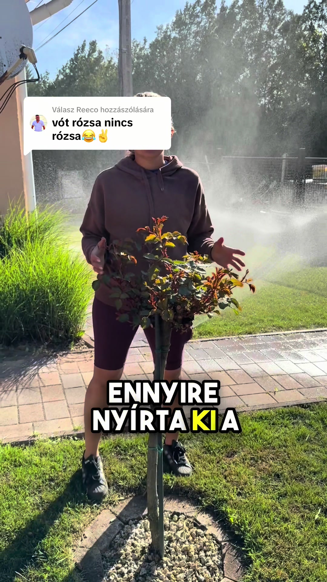 @Jámbor Fanni