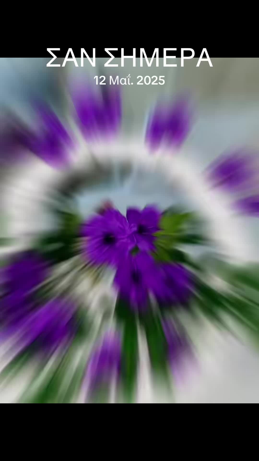 @Kozeta