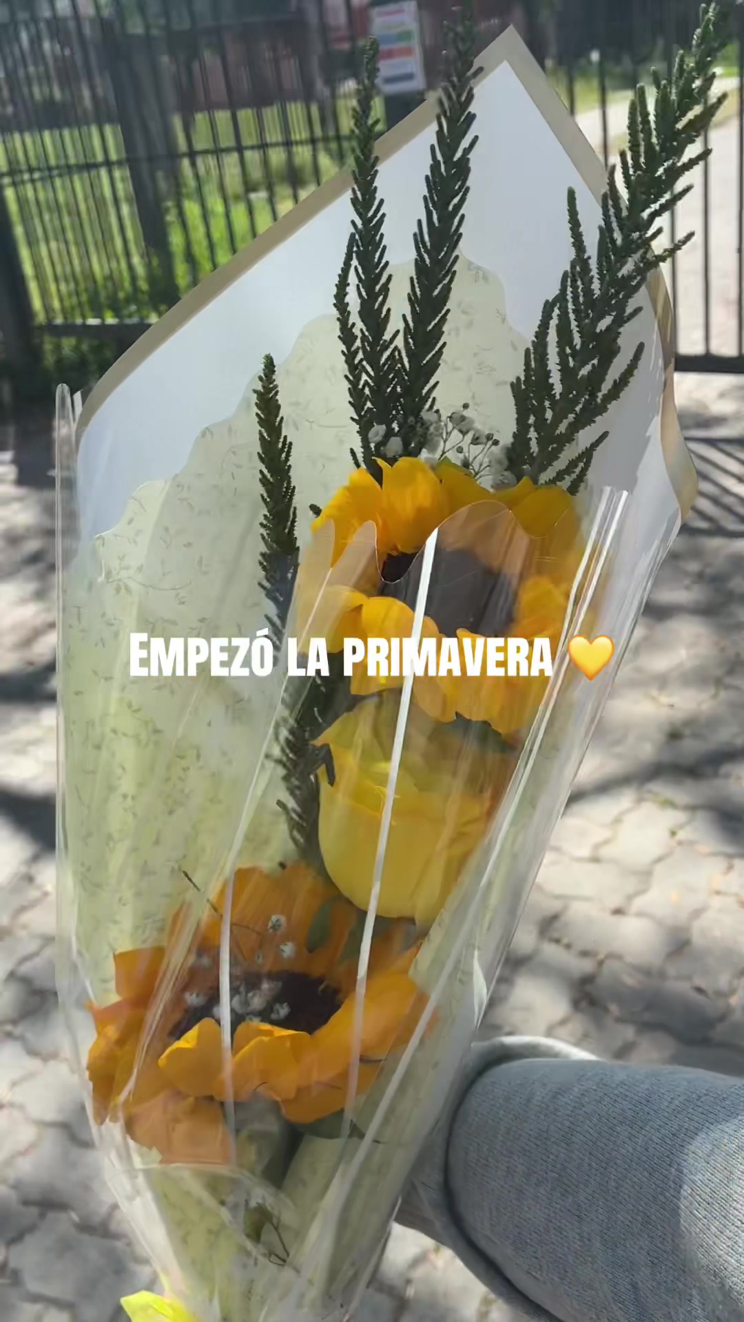 @Anto 🌼