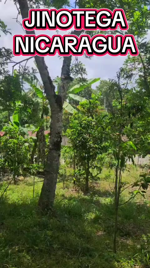 @@ventadefincasnicaragua
