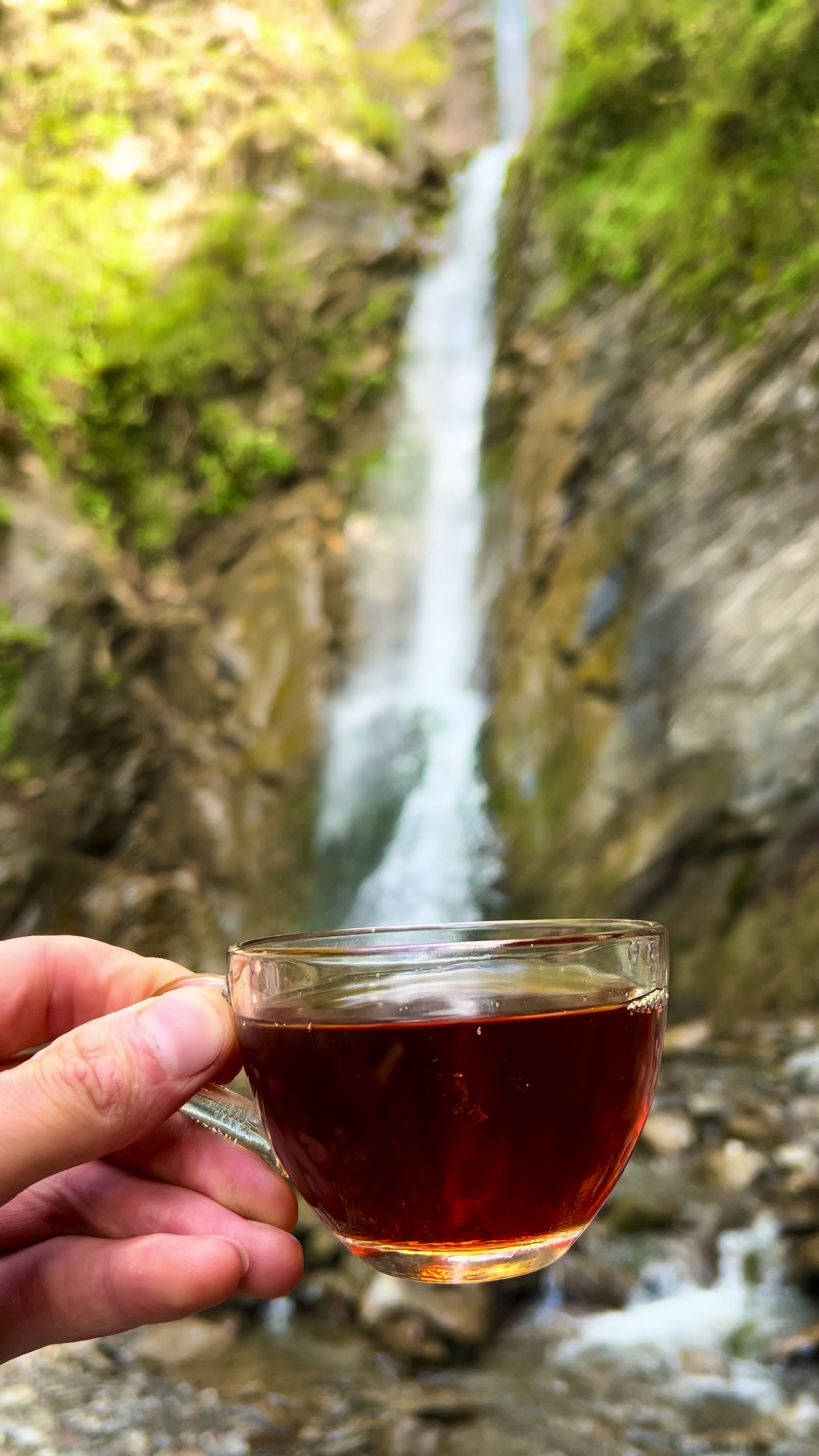 @𝑨𝒅𝒊𝒍𝒐𝒗🌿