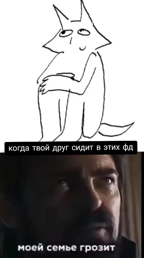 @кот
