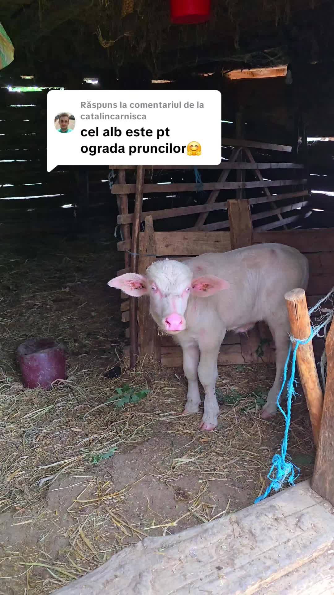 @Viața Satului Bihorean🌏