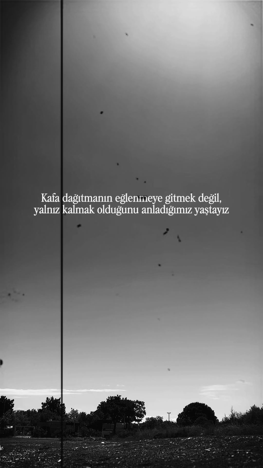 @Süleyman Andaç