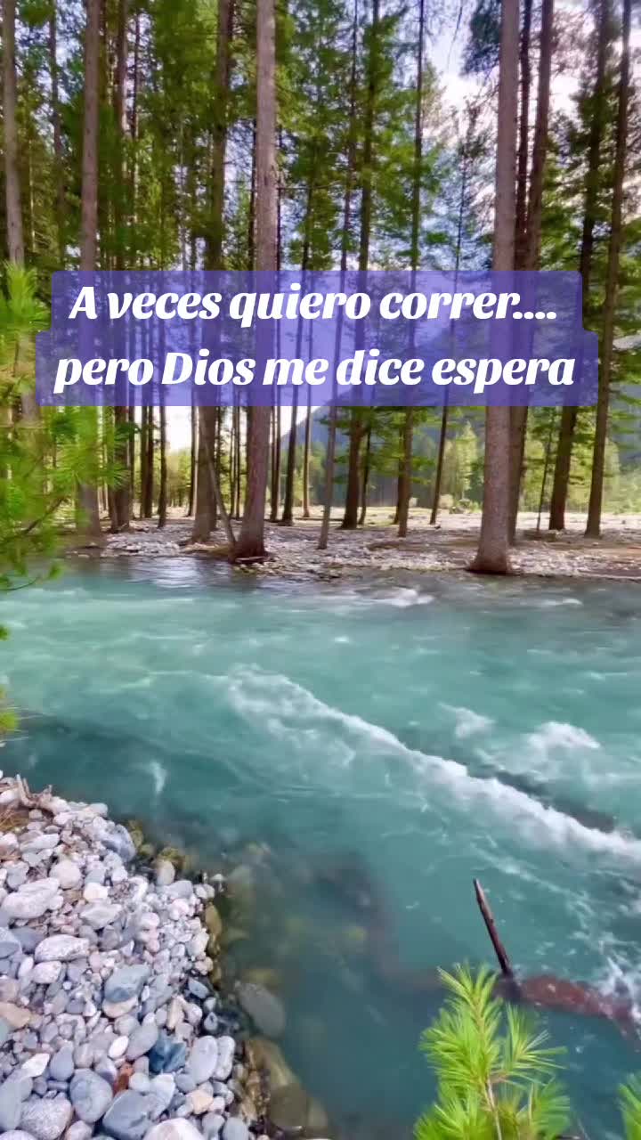 @luz23🇻🇪 🇪🇸