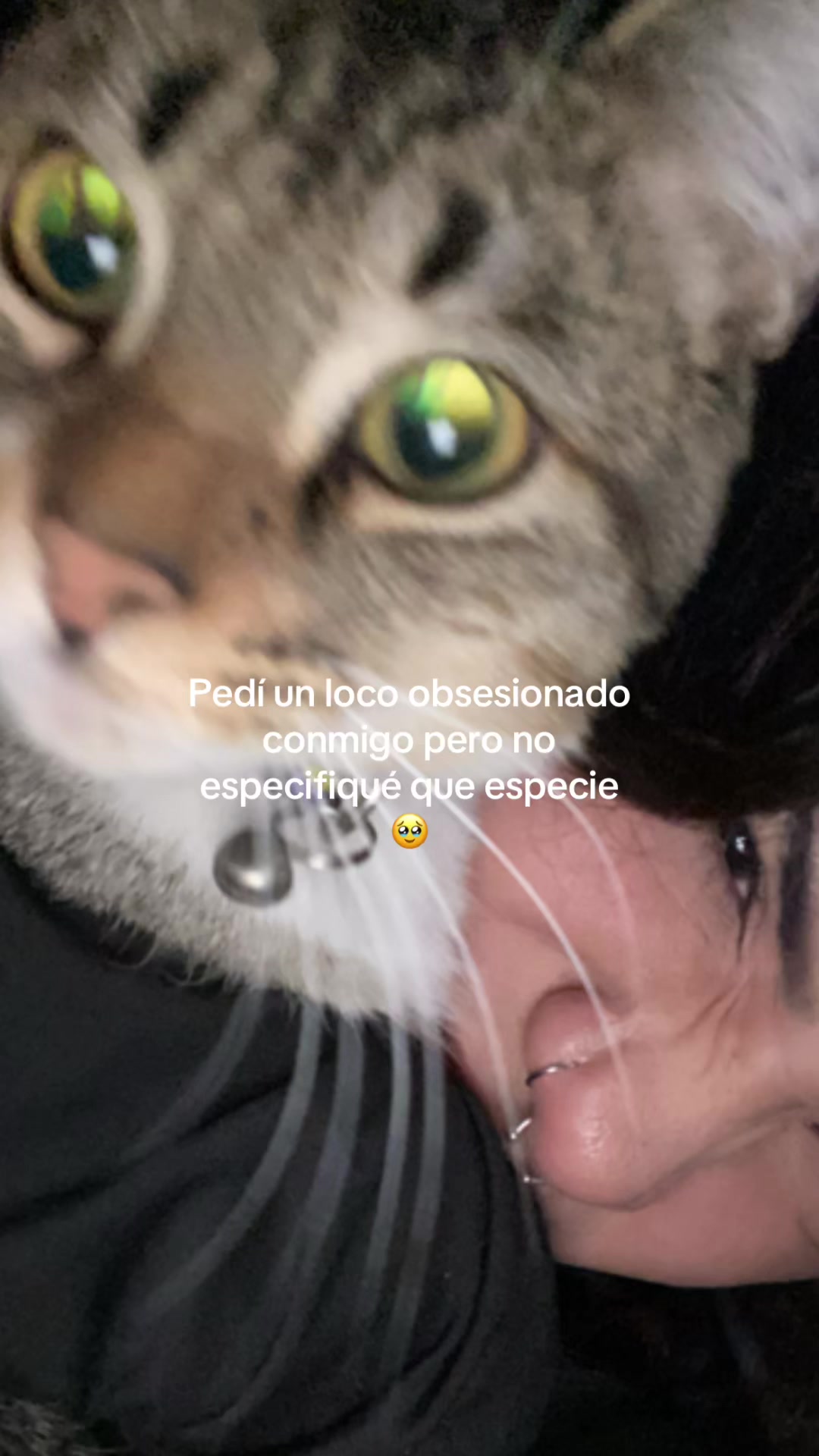 @🧚🏻♀️4lexit4h0t🧚🏻♀️