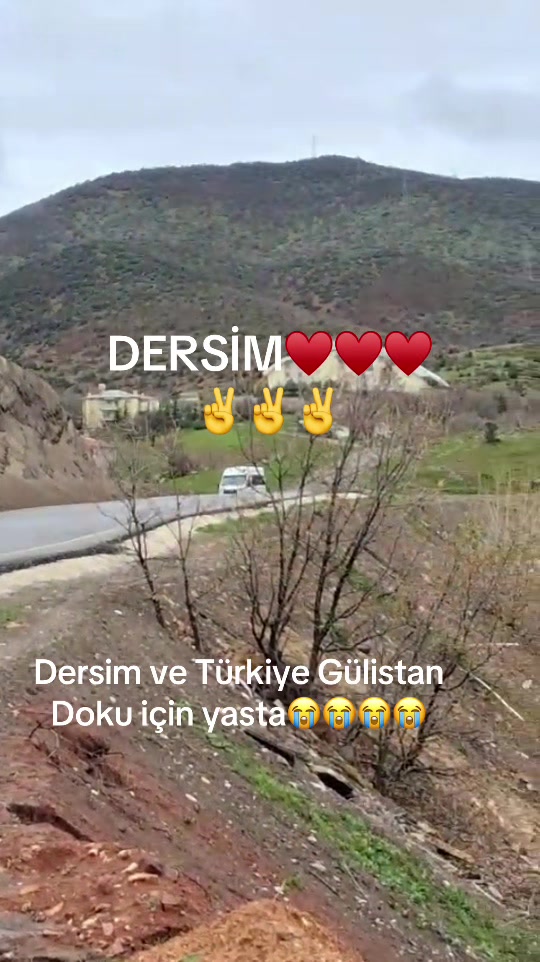 @Birsel mircikmameki62