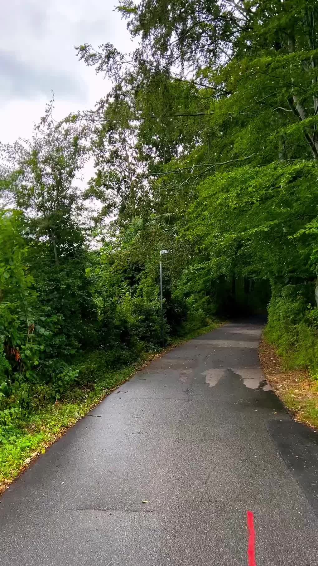@dk__nature 🇩🇰
