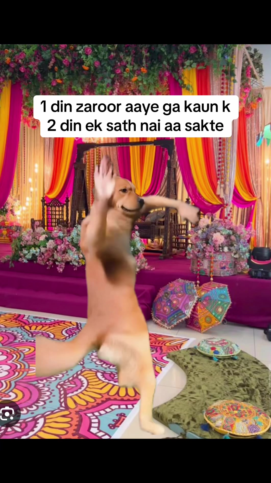 @desi_memes5