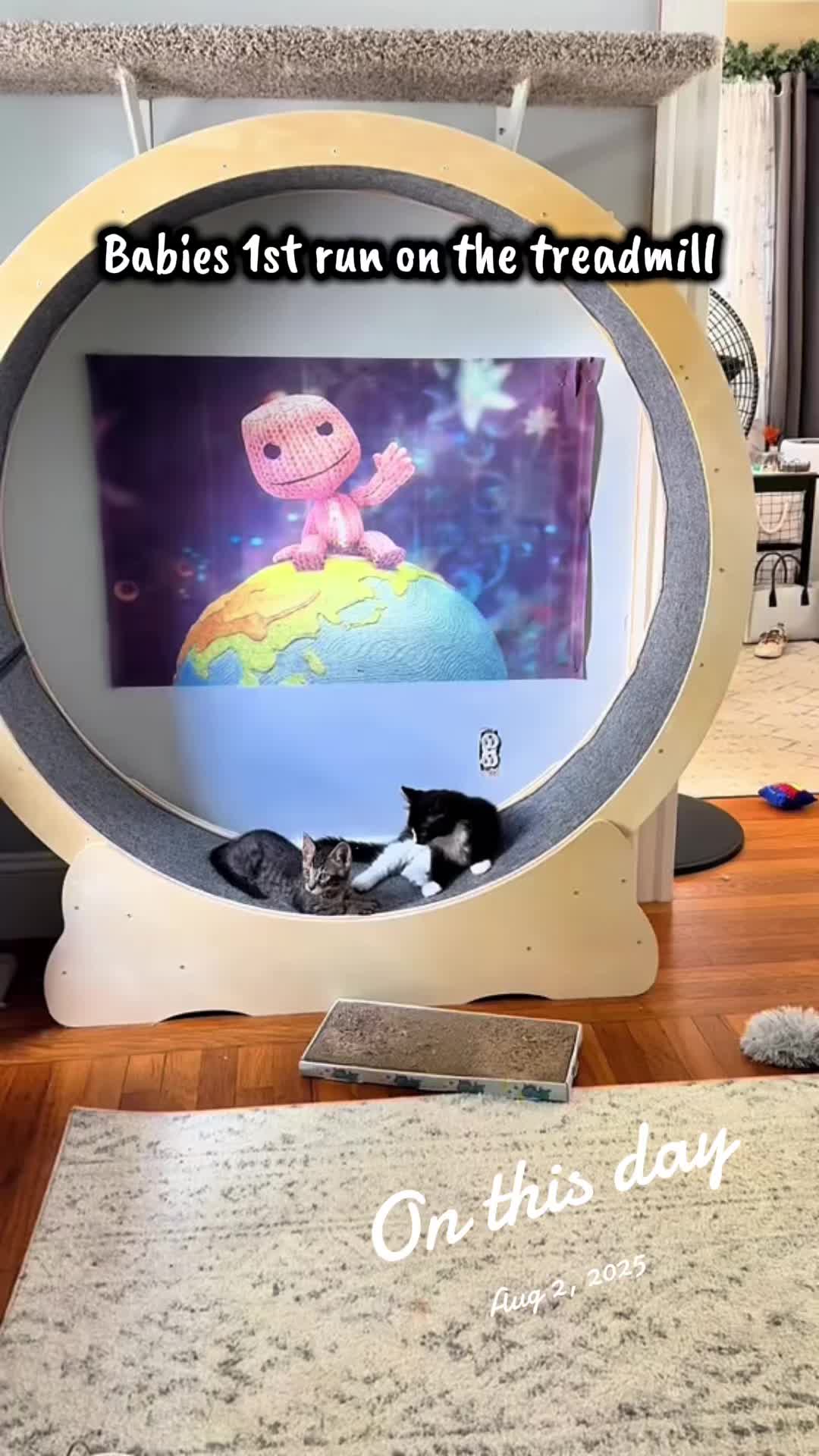 @TailsandWhiskersCo