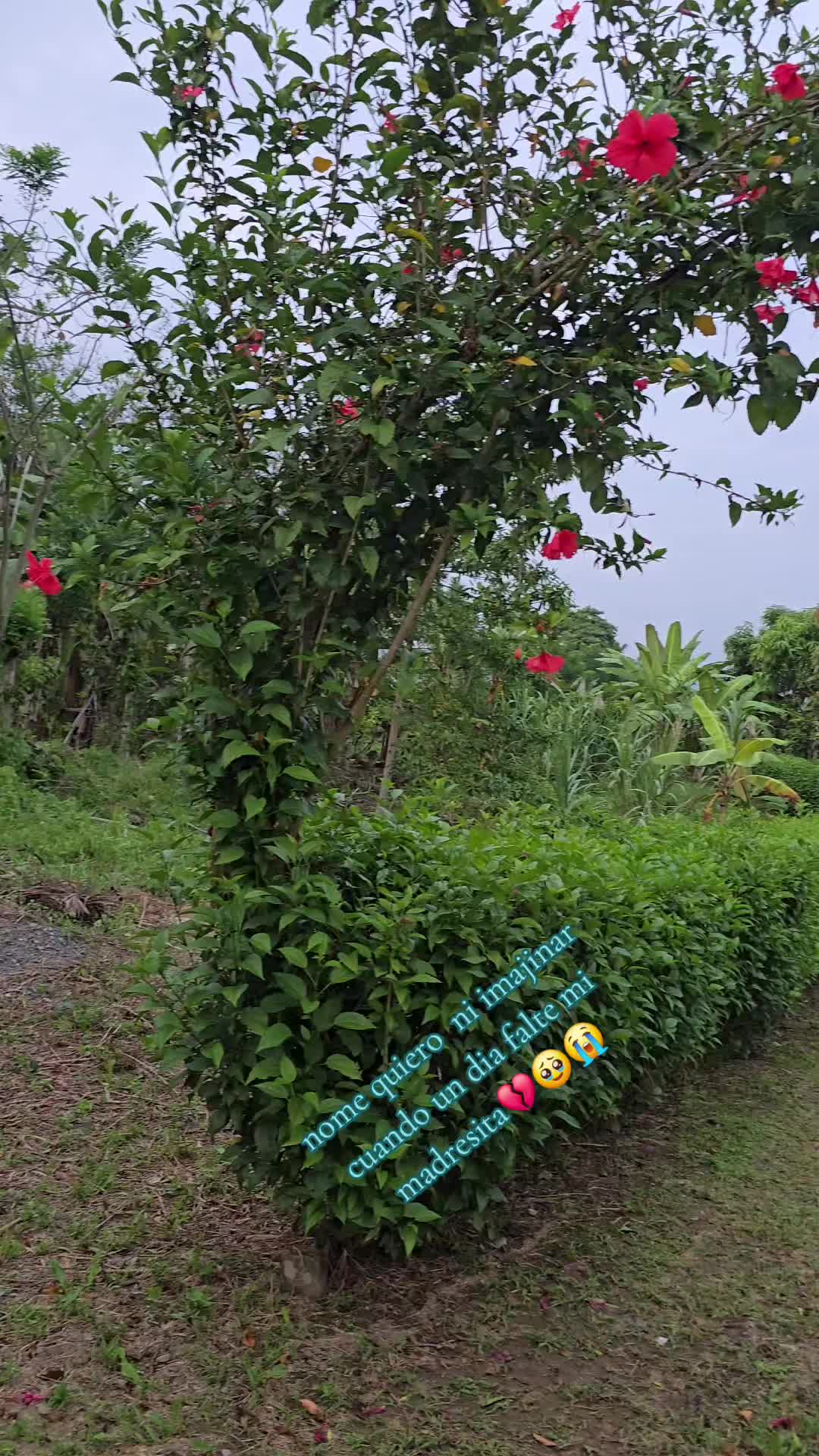 @🐓TU GALLO FINO 🐓