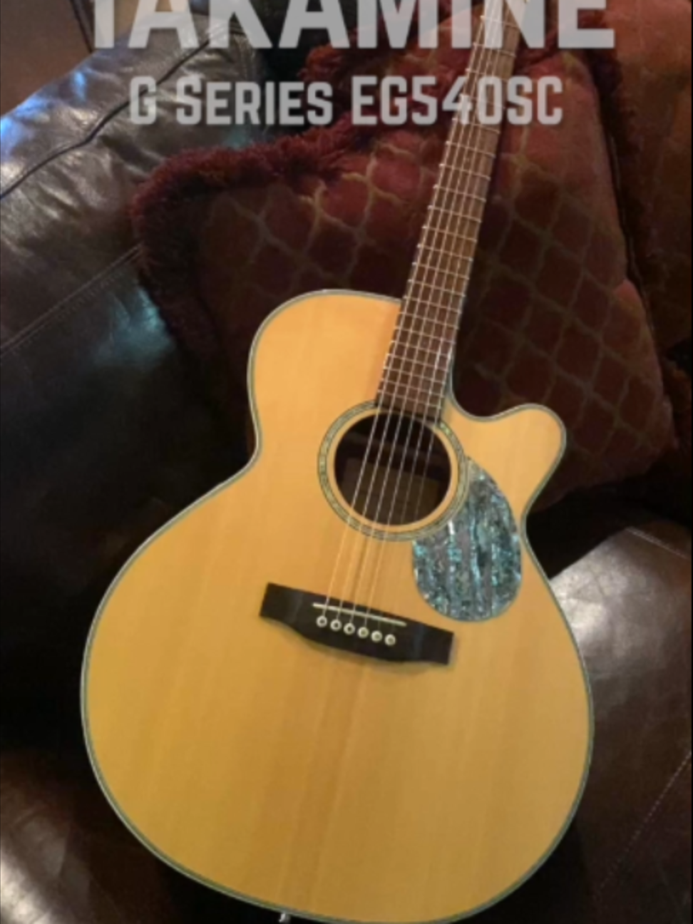 @GuitarNiche.Tech