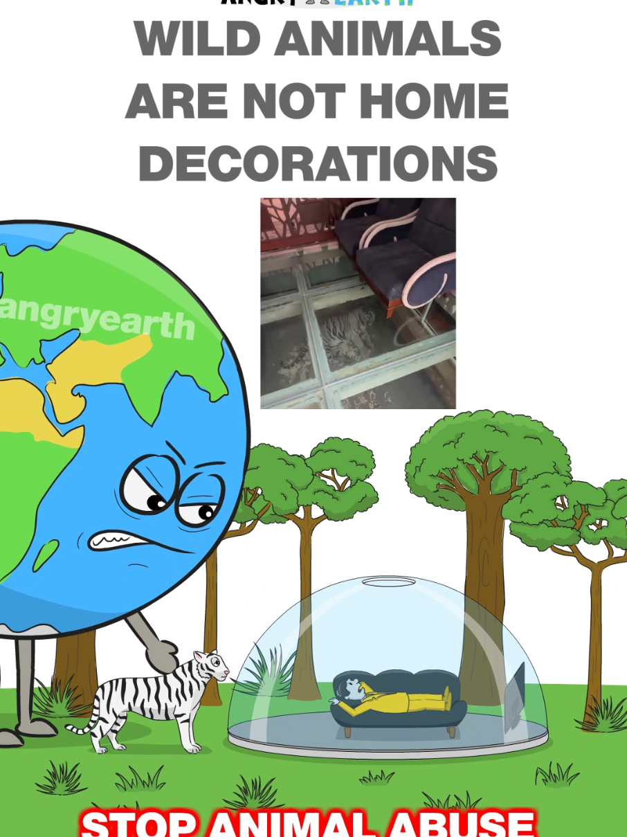 @ANGRY EARTH