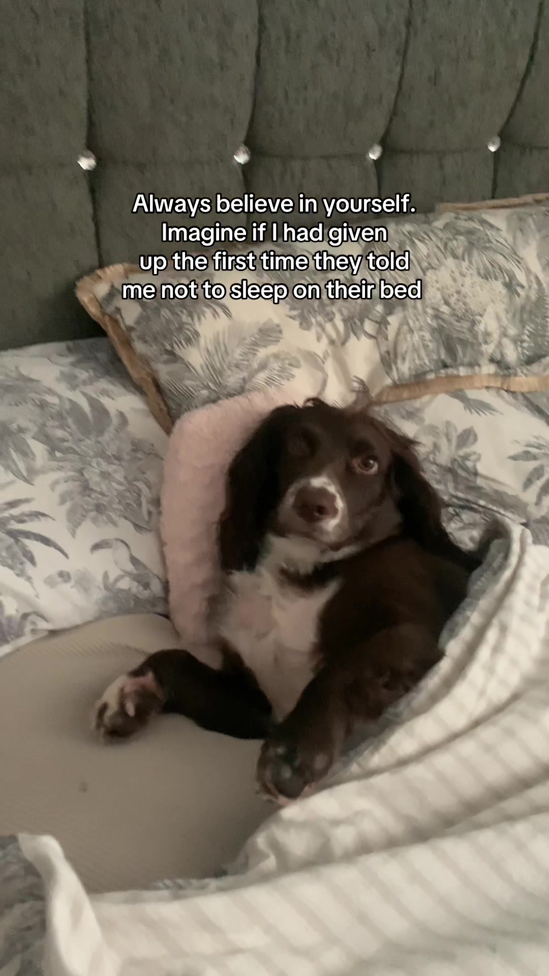 @Woody