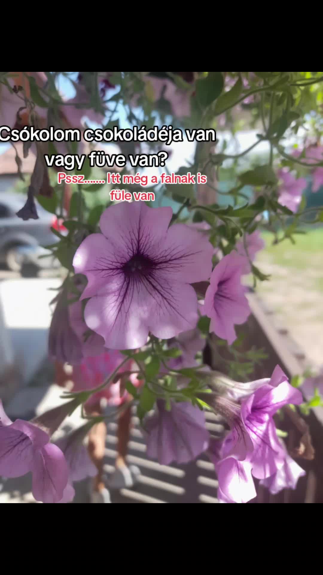 @𝓐𝓷𝓷𝓪